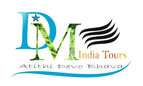 DM India Tours